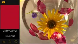 colorvisor - das original iphone bildschirmfoto 2