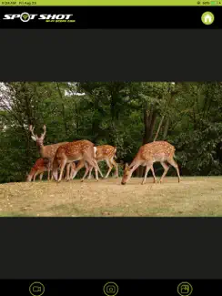 SME Spot Shot iPad image 3