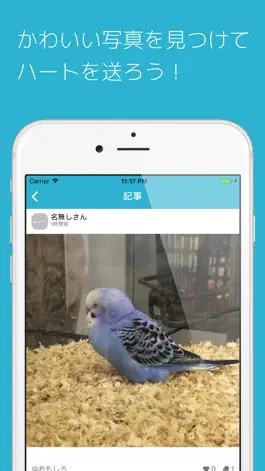 Game screenshot セキセイの木 apk