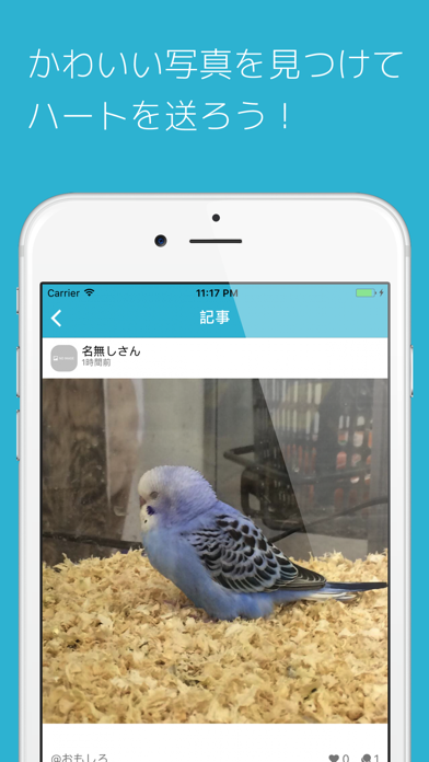 Screenshot #2 pour セキセイの木