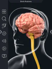 my brain anatomy ipad resimleri 2