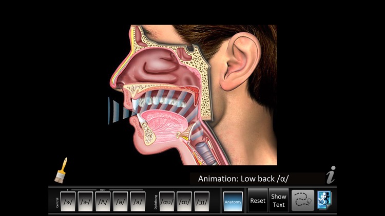 Vowels Central Diphthong screenshot-3