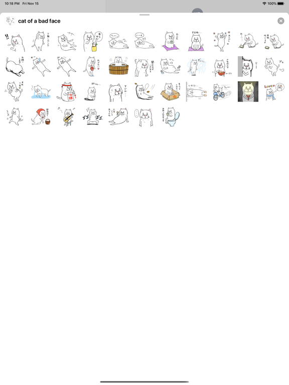 目つきの悪い猫１