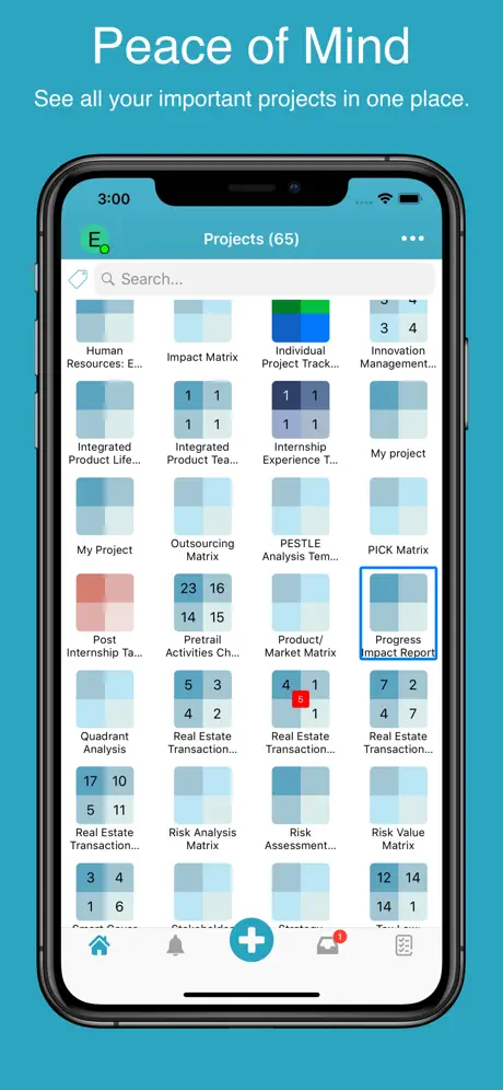 Priority Matrix