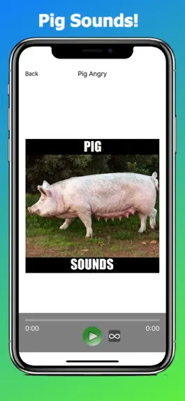 Game screenshot Pig Sounds and Effects mod apk