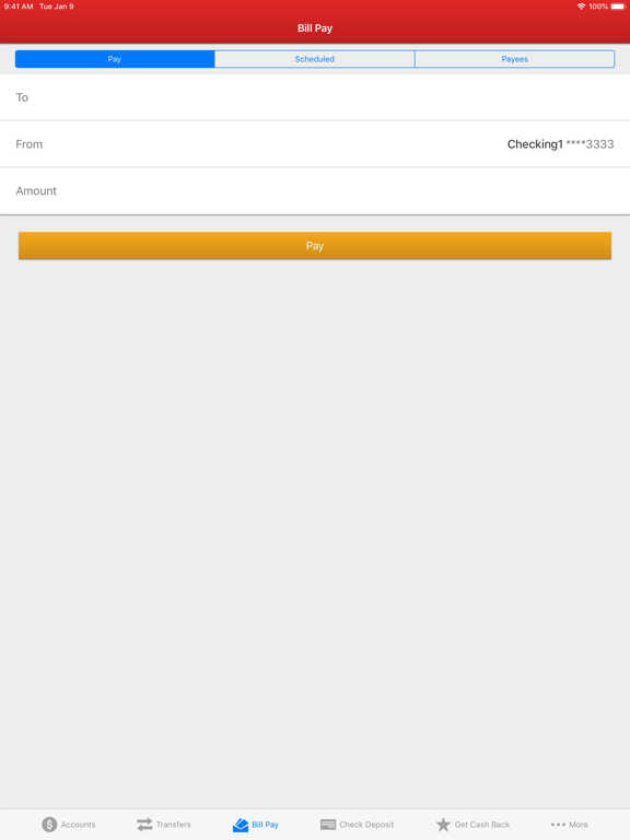 FirstLight Mobile Banking iPad screenshot 5 - Finance app