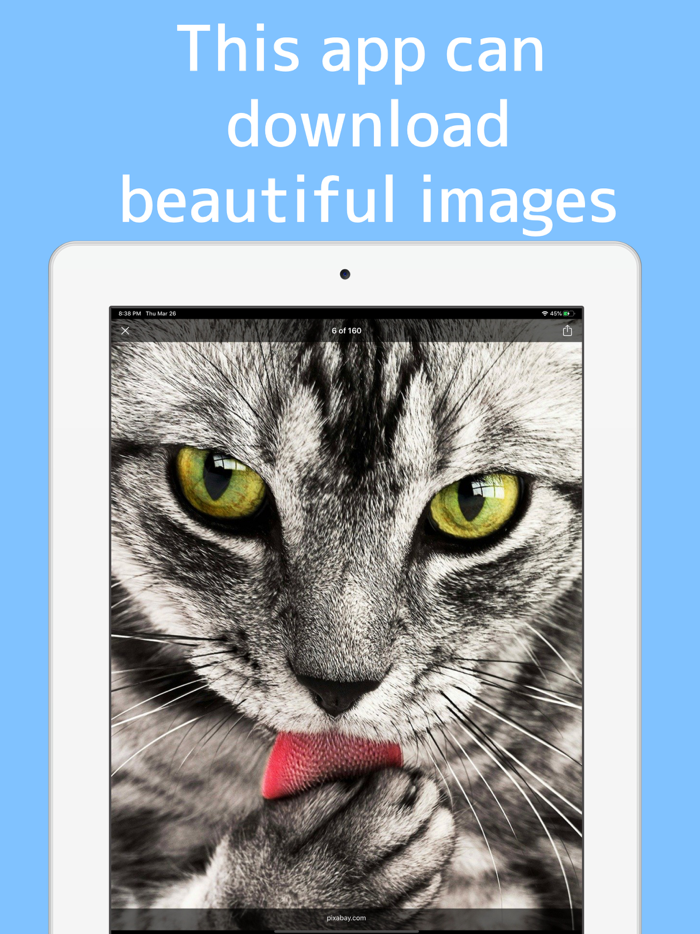 Ultra image Search Machine