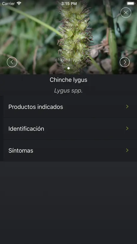 Clean Days Tracker - ALCOntrol