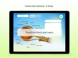 Game screenshot Human Eye Receptors hack