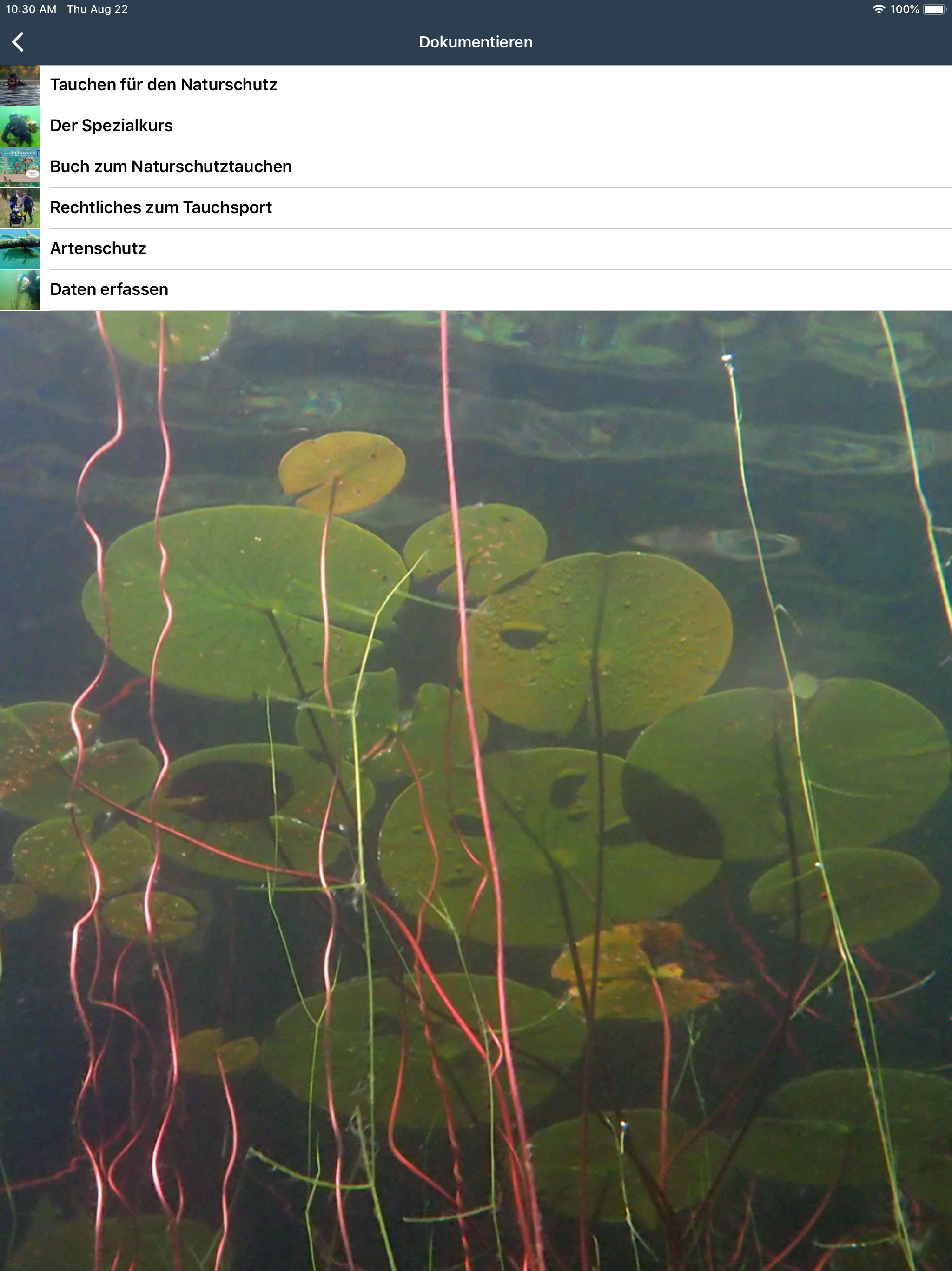 Tauchen-App Wasserpflanzen