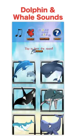 Game screenshot Sea World: Kids Dolphin Games apk