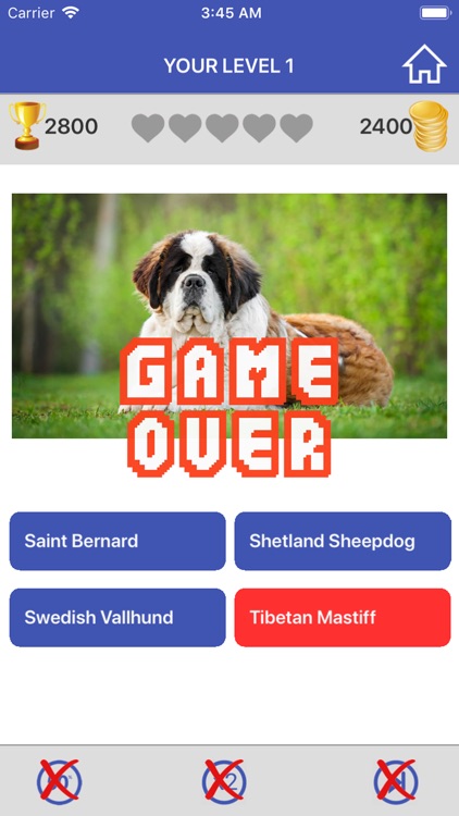 Guess Animals Quiz Game