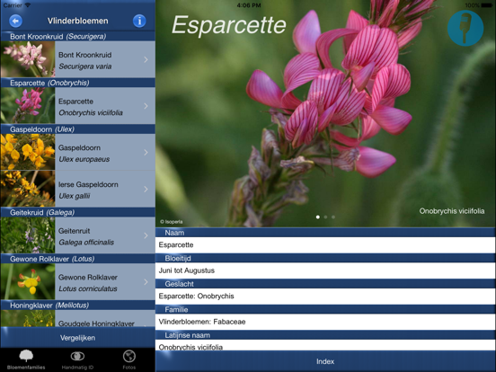 Wilde Bloemen Id NL iPad app afbeelding 3