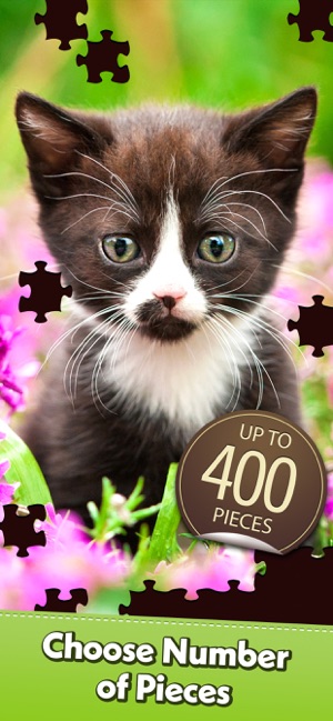 Jigsaw Puzzle Pro(圖4)-速報App