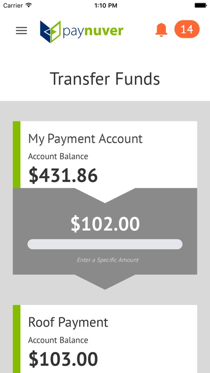 Paynuver screenshot-3