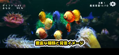 ディスカスミュージアム