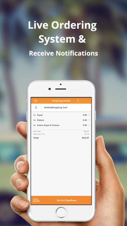 Antika Grill screenshot-3