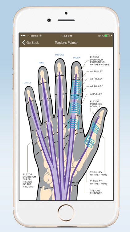 HANDOC - Hand Injury Experts