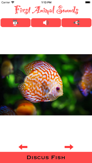 Screenshot #2 pour First Animal Sounds App