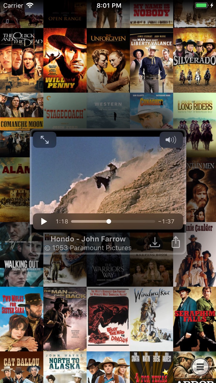 iPhone screenshot