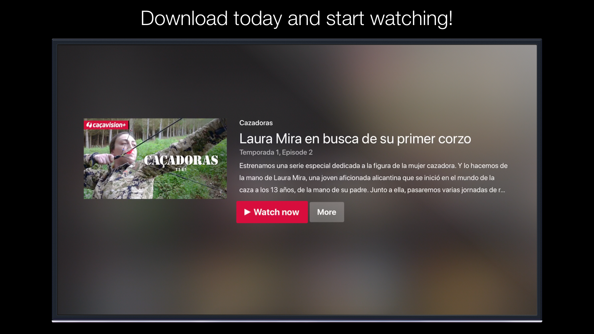Cazavisión+ screenshot 15