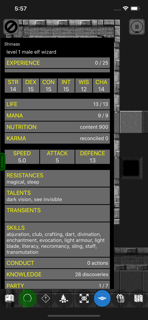Pathos: Nethack Codex screenshot 3