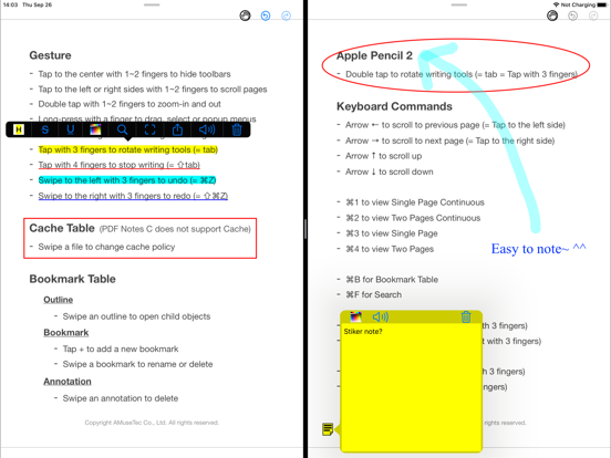 PDF Notes C iPad screenshot