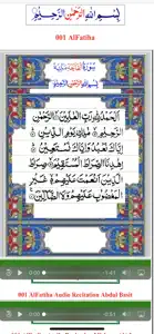 Quran Arabic 4 Scripts screenshot #2 for iPhone