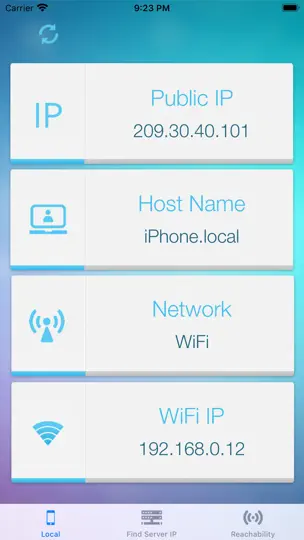 Captura de pantalla de Buscar IP en iPhone 1