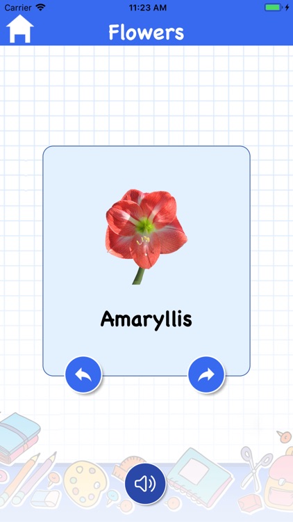 Pre English For-Kids screenshot-5