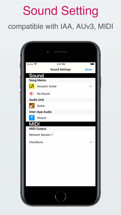 Song Memo screenshot-3