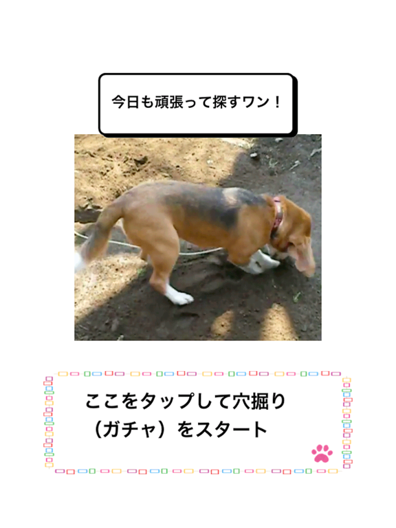 Screenshot #5 pour わんこ天気〜天気予報＆可愛い犬の写真〜