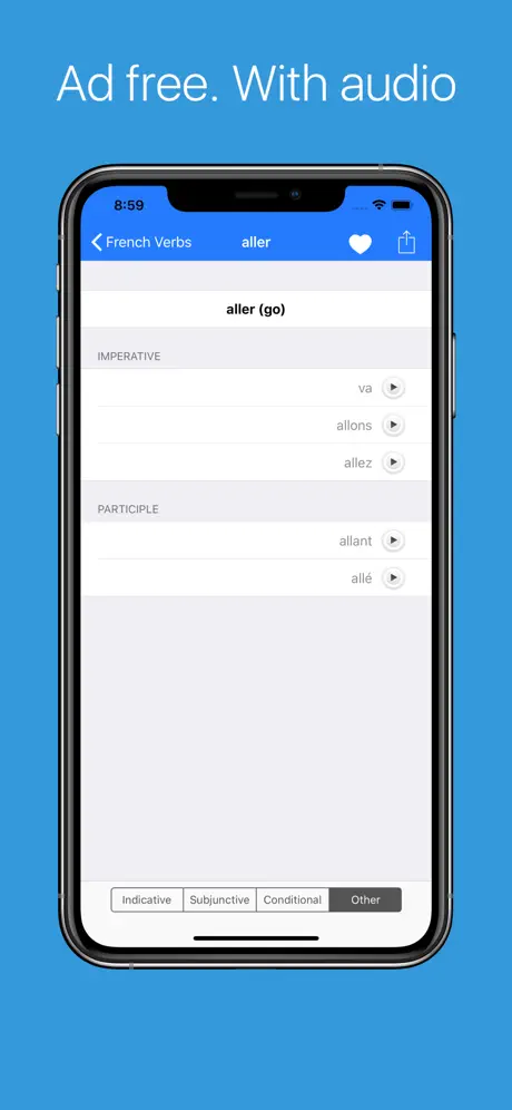 French Verb Conjugator Pro