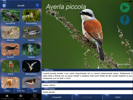 Screenshot #5 pour Canzoni d'uccelli