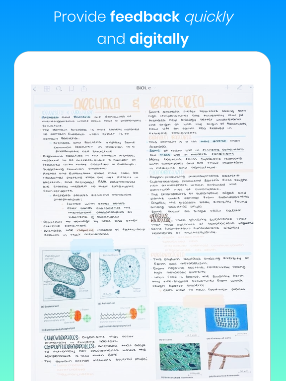 Springpad - Class Workbooks iPad screenshot
