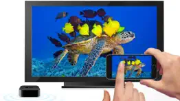 aquarium 4k √ problems & solutions and troubleshooting guide - 1