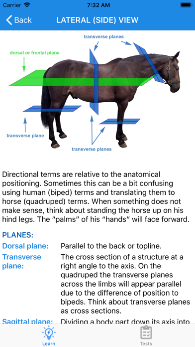 Equine Anatomy Learning Aid Screenshot