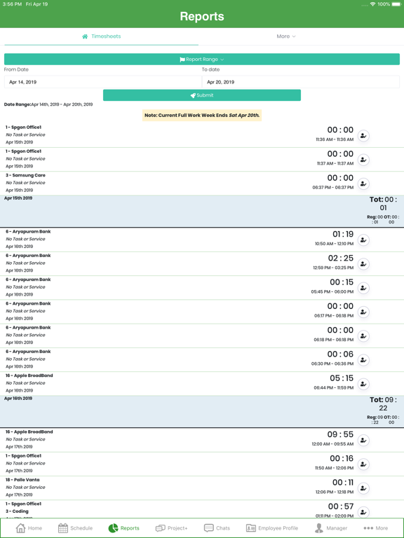 Timesheet Mobile™ iPad screenshot 6 - Business app