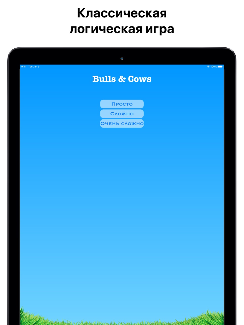 iPad screenshot