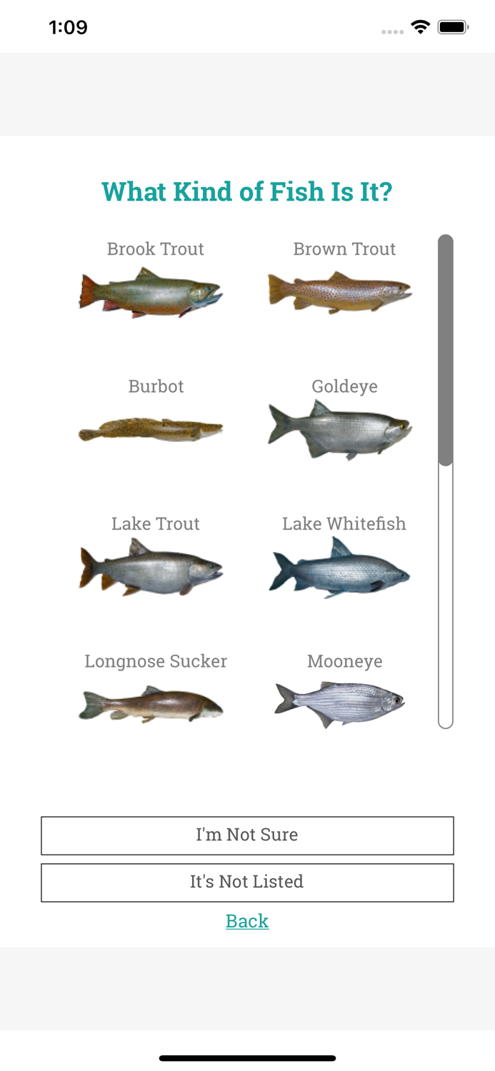 Should I Eat This Fish