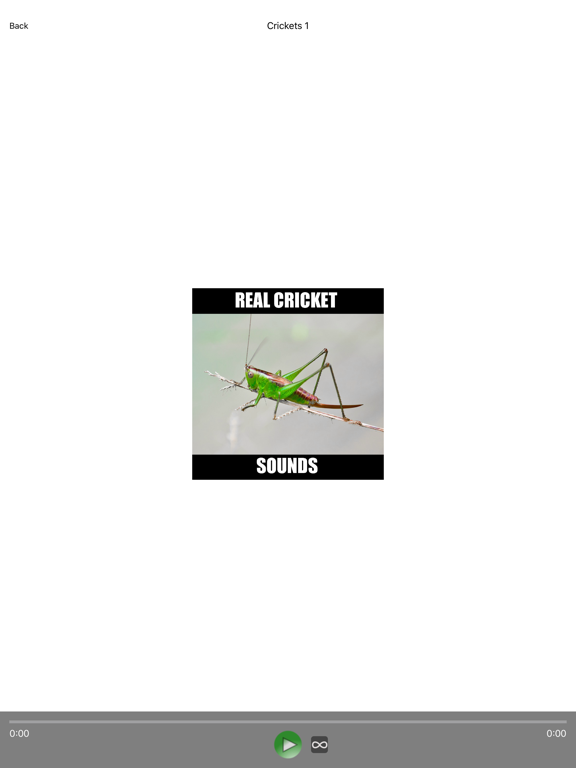 Screenshot #4 pour Cricket Sounds for Sleep