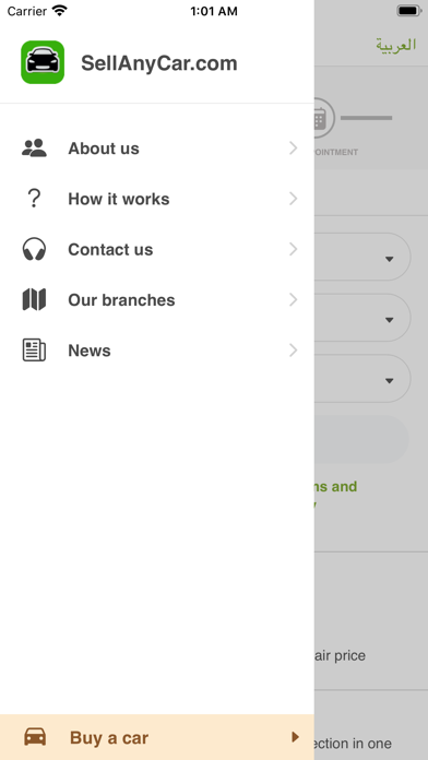 BuyAnyCar.com Screenshot