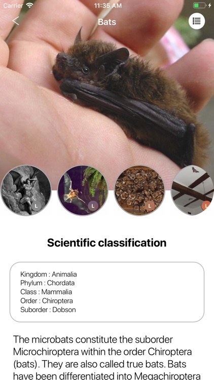 Animals 2.0 screenshot-4