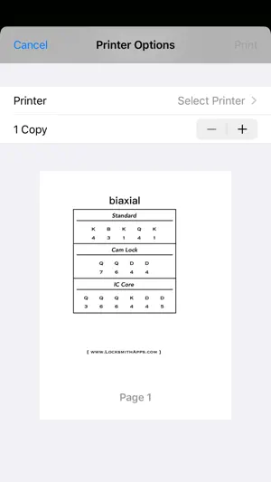 Biaxial screenshot 4