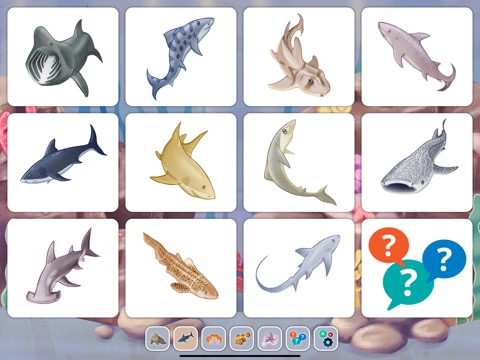 Marine Creatures Cards of Seaのおすすめ画像9