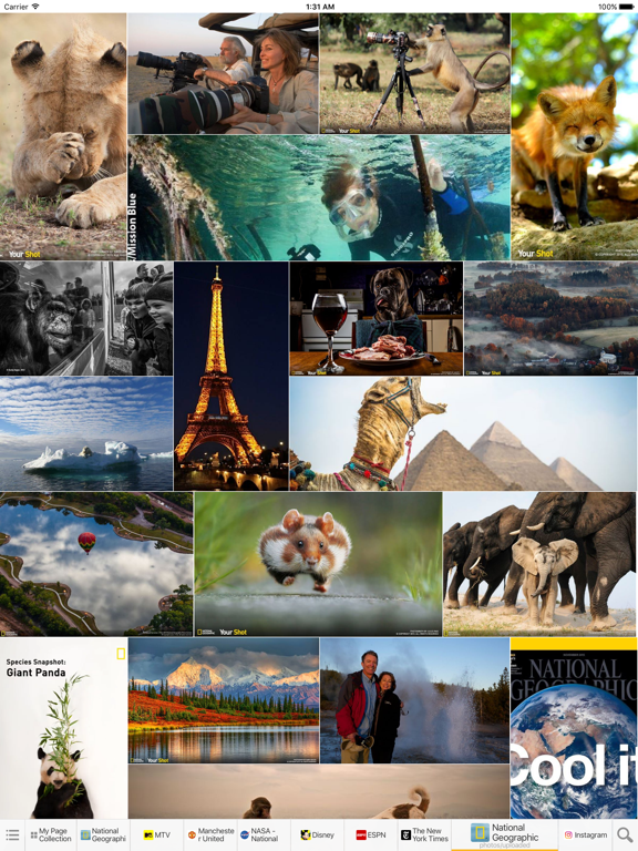 Screenshot #5 pour MultiTab for Page