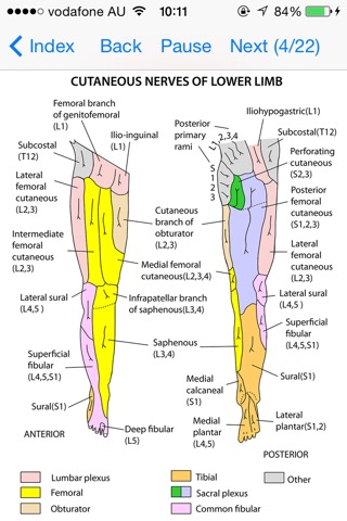 Anatomy Lectures Limbsのおすすめ画像2