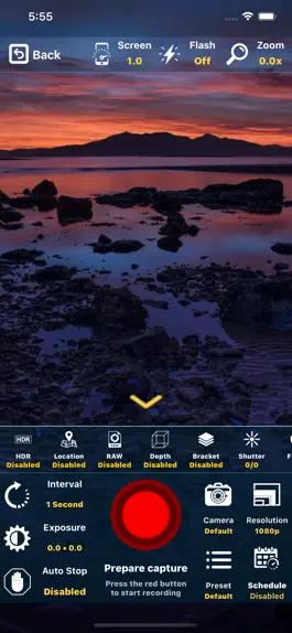 Game screenshot Lapse It mod apk