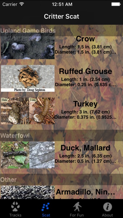 Critter Trax - Animal Tracks