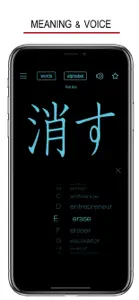 Japanese Words & Writing screenshot #4 for iPhone